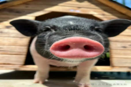 14.png 14.png